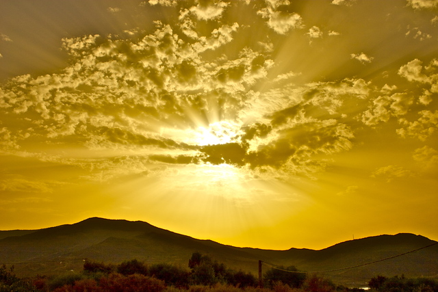 IMAGE: http://www2.picturepush.com/photo/a/11454490/640/11454490.jpg