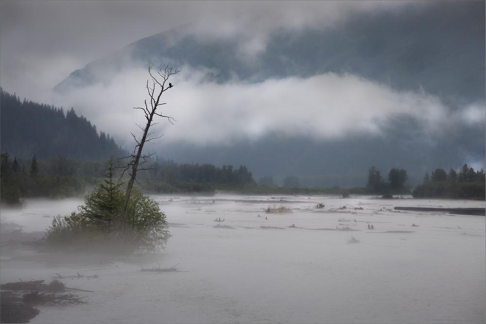 Click here to join funchoice