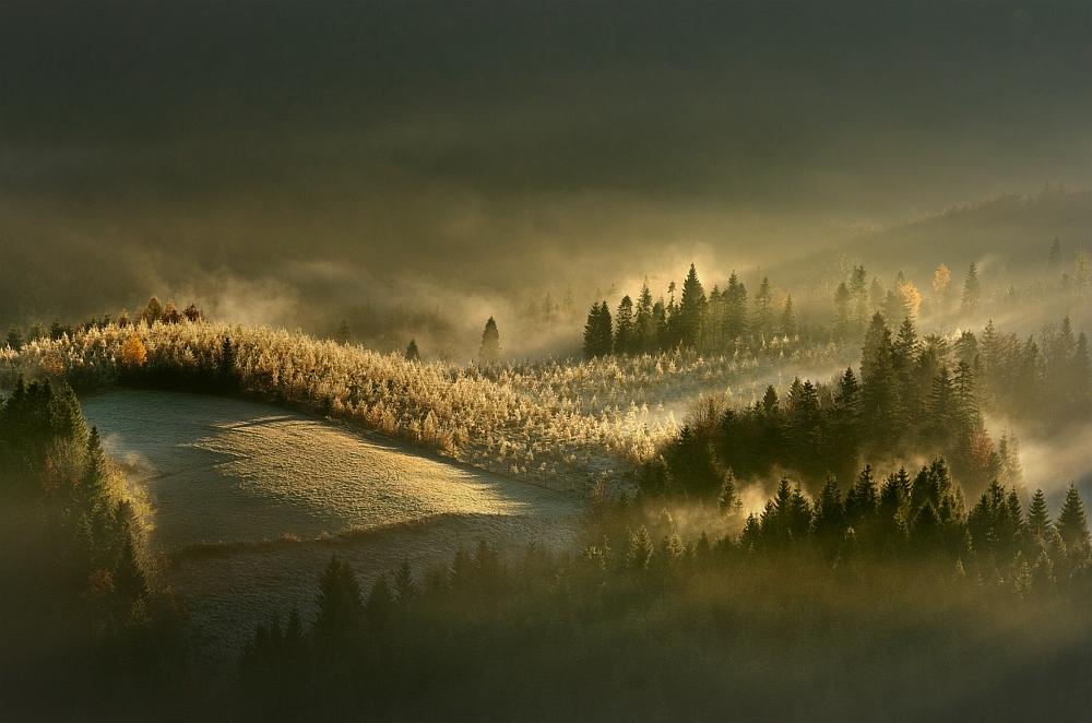 Click here to join funchoice