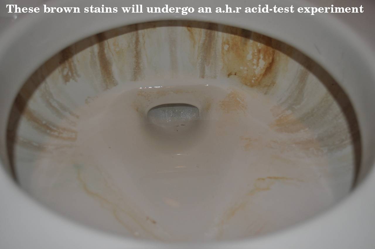 Experiment removing brown toilet bowl stains with various