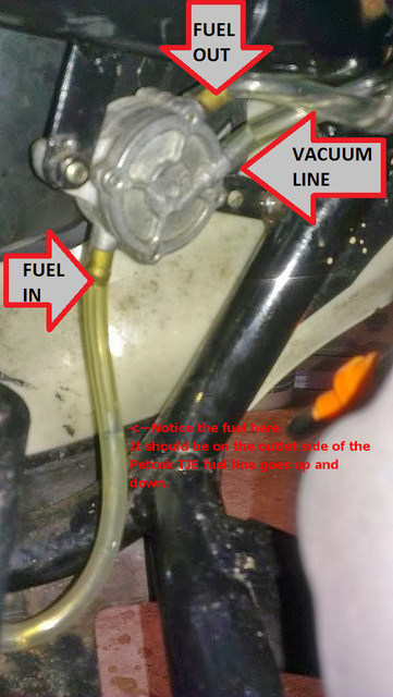 50cc Scooter Fuel Line Diagram - Wiring Site Resource