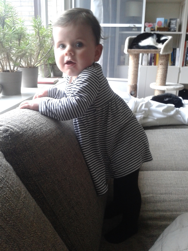 20140301-151951.jpg