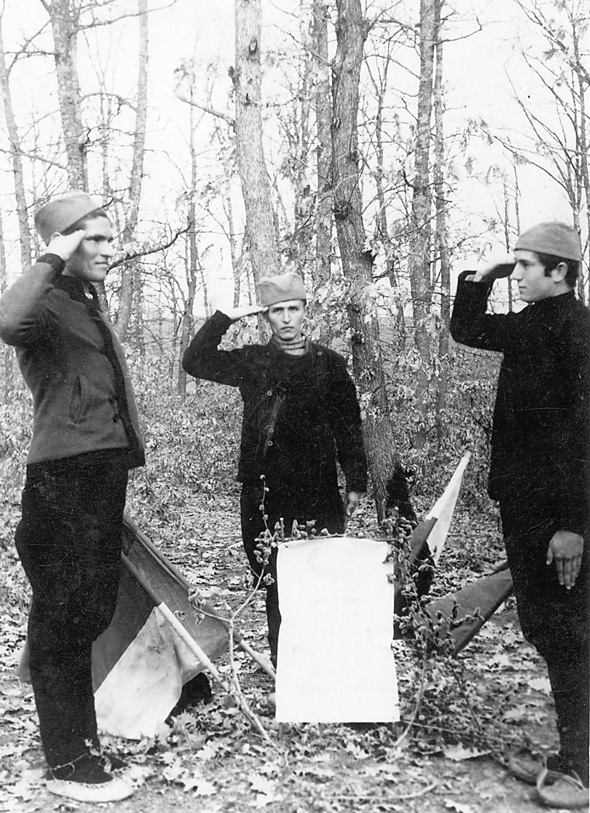 [Слика: 3819910.jpg]