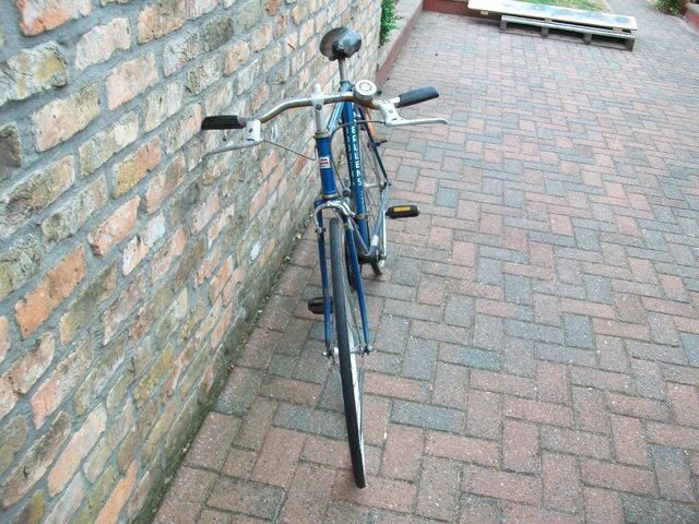 Afbeelding