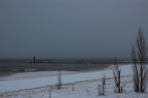 Snow Lake Effect Michigan - Gennaio 2010 4331260