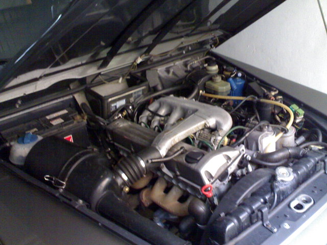 I put engine from Mercedes W124 The''intake branch'' What is the english