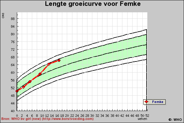 4456060.bmp