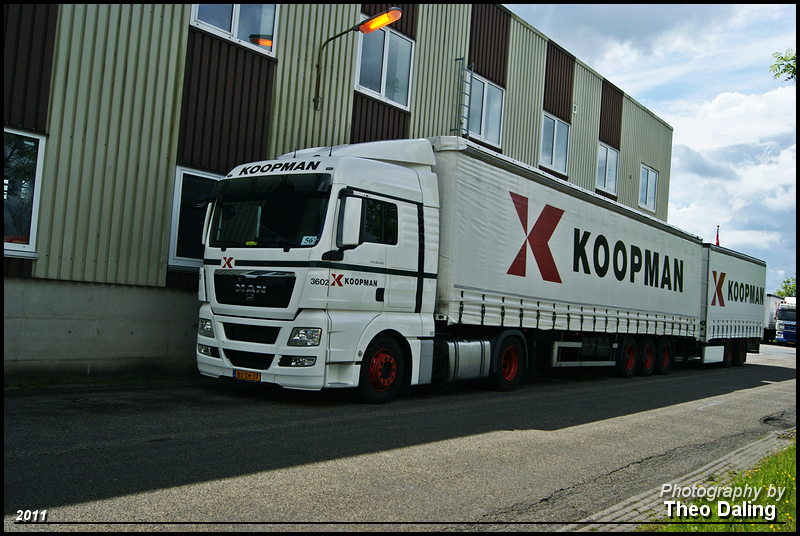 Koopman---Noordhorn--BX-ZH-37.jpg