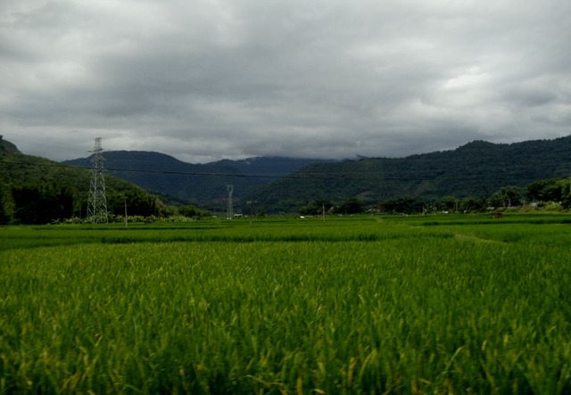 Image Hosted by PicturePush - Photo Sharing