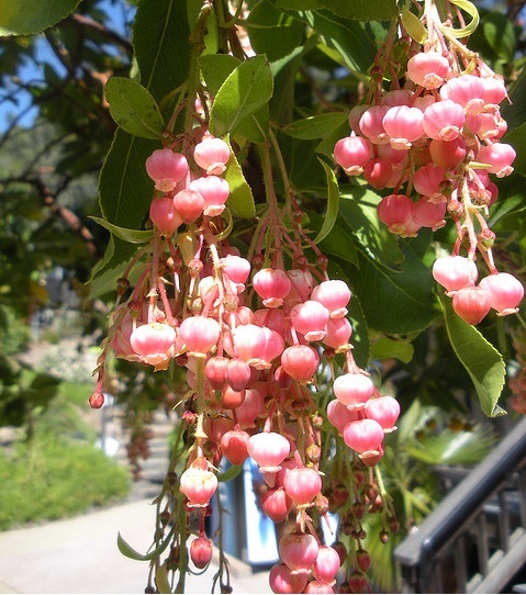Image Hosted by PicturePush - Photo Sharing
