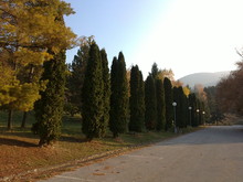 Slika