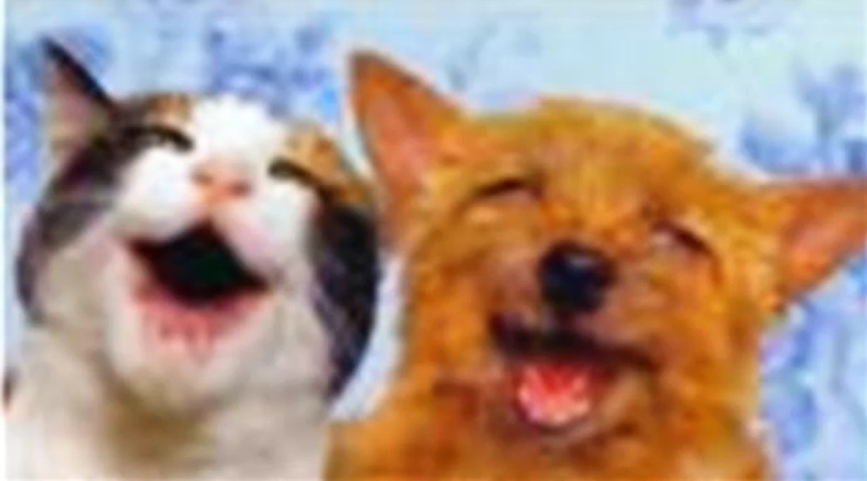 Posted Image