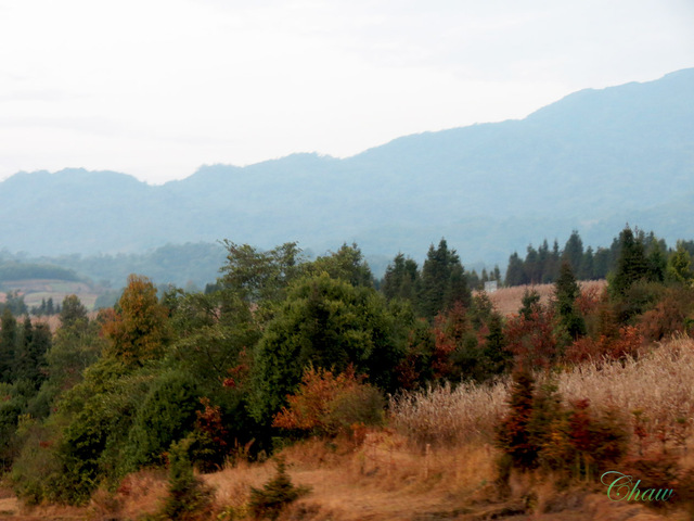 Image Hosted by PicturePush - Photo Sharing