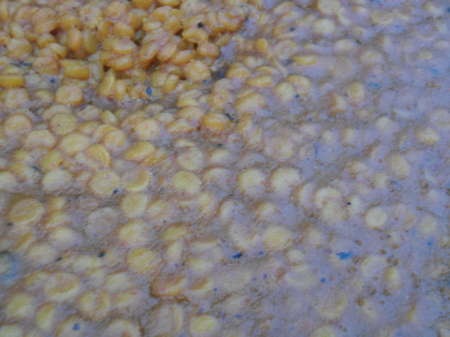 Inline image 5