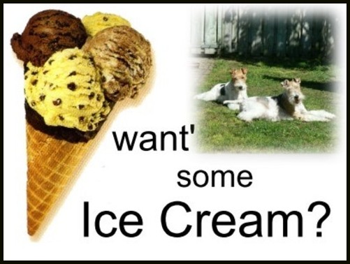 Image Hosted by PicturePush - Photo Sharing