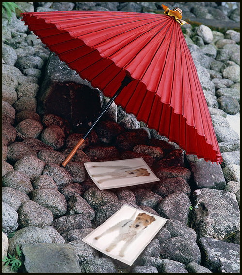 Image Hosted by PicturePush - Photo Sharing