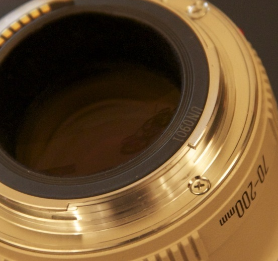 IMAGE: http://www2.picturepush.com/photo/a/9909015/640/9909015.png