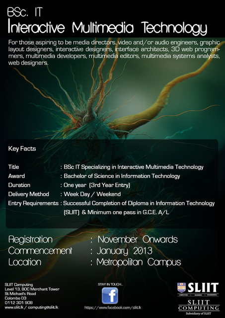 Interactive-multimedia-2013-full.jpg