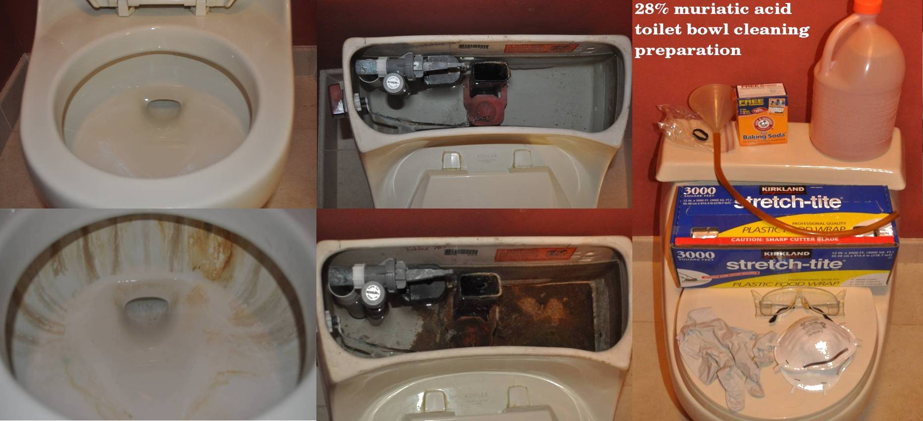 Toilet dirty at rim holes
