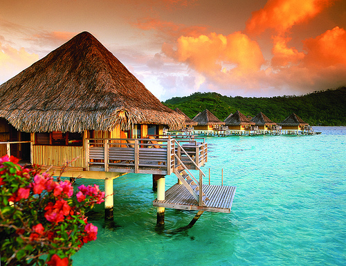 Holiday dreams